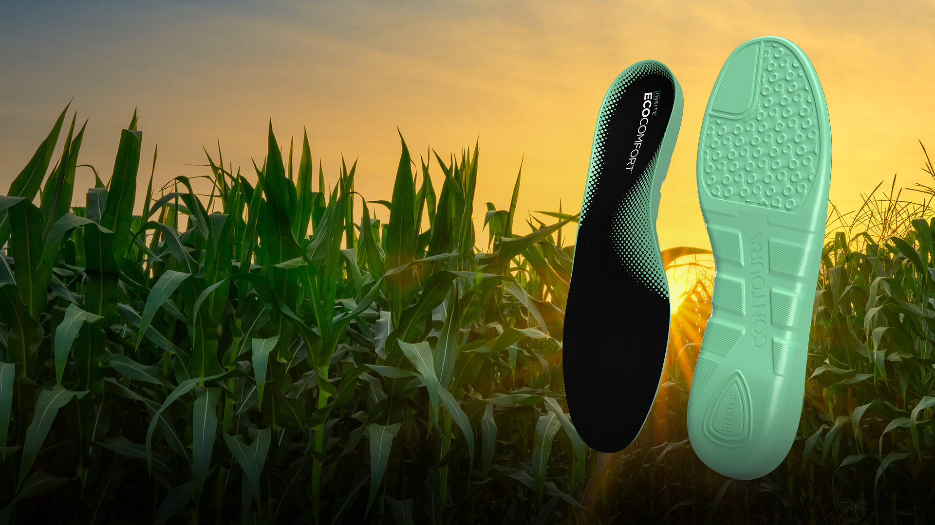 A pair of green INSITE EcoComfort shoe insoles against a cornfield at sunset.
