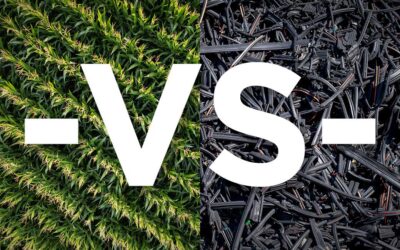 Sustainable Insole Materials: Bio-Based vs. Recycled Foams